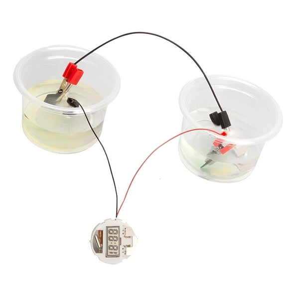 Ywmsfl Fun Physics Learning Laboratory Equipment Salt Waters Electronic Clock Making Set With Easy Assembly Guide For Students