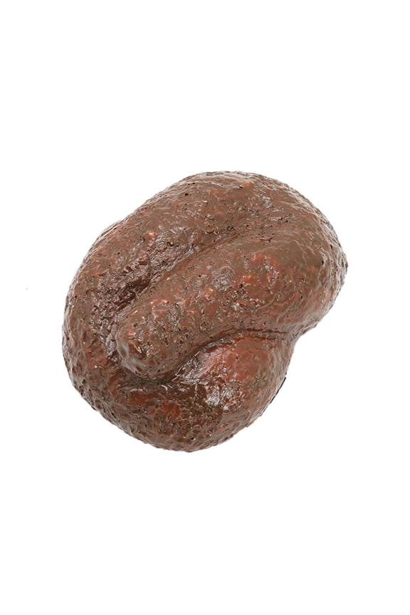 Holder Multifunctional Hiding Rock Holder Travel Storage Eye Catching Container Novelty Holder