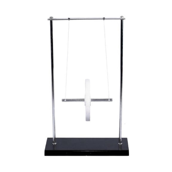 Ywmsfl Metal Physics Teaching Aid Gravitational to Motion Energy Conversion Demonstrator for Classroom Teaching and School Lab