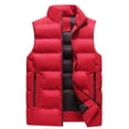 thumbnail image 1 of Yyeselk Men's Puffer Vest Casual Full Zipper Stand Collar Quilted Waistcoat Big and Tall Sleeveless Warm Thick Outdoor Padded Ski Vest Red XXL, 1 of 4