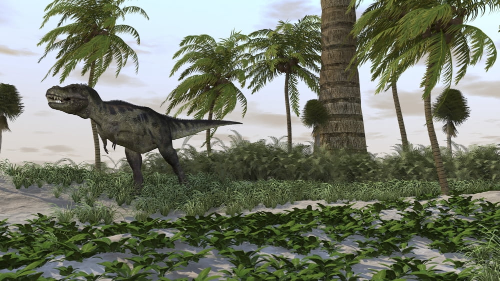 Yyrannosaurus Rex hunting for its next meal Canvas Art - Kostyantyn IvanyshenStocktrek Images (38 x 22)