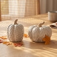 thumbnail image 1 of Yyuenw Cream Embossed Distressed Ceramic Pumpkin Set 2 Sizes Textured Sculpture Fall Thanksgiving Table Centerpiece Mantel Tiered Tray Decor, 1 of 7