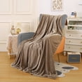 thumbnail image 1 of Clearance Under $5!Yyuenw Fleece Throw Blanket for Couch and Bed, 27x39 inches Summer Soft Fleece Throws, Fuzzy Waffle Textured Blanket, Cozy Warm Lightweight All Season Blanket Throw, 1 of 5