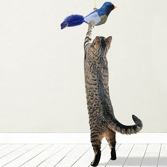 Yyuenw Interactive Hanging Bird Cat Toys Set Realistic Chirping, Lifelike Birdie Tweets, Durable & Safe, Indoor Kitty Kitten Exercise Toys