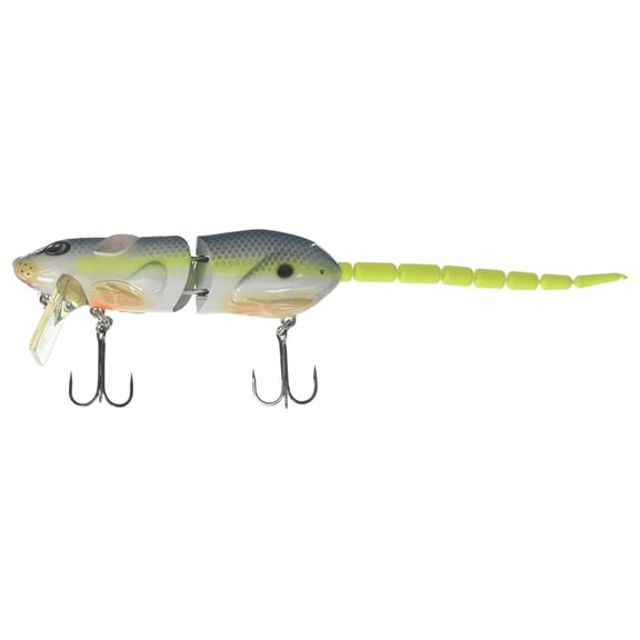 Z 1 Bbz Rat Fishing Bait 40 Nasty Shad 7 1/2 Inch 1 oz