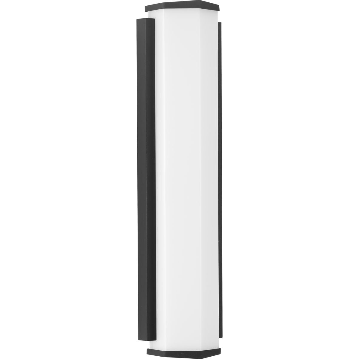 Z-1070 LED Collection Black Two-Light Large LED Outdoor