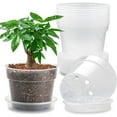 thumbnail image 1 of Z 12 Pack 7 Inch Clear Nursery Pots with Saucer,Transparent Plastic Plant Pots with Drainage Holes, Sturdy Plant Starter Pots,Planter Pot for Planting Succulent Flower Herb Vegetable,Gardening Gifts, 1 of 12