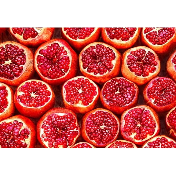 Pomegranate Seeds - Highly Prized Edible Fruit - Made in USA, Ships from Iowa (50 Seeds)