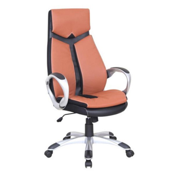 ZLine Leather Executive Office Chair