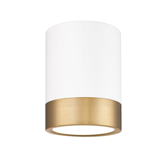Z-Lite 1006F6-MW-MGLD-LED Algar 6" Wide Led Flush Mount Ceiling Fixture - Matte White /