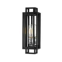 Z-Lite 12 Light Chandelier