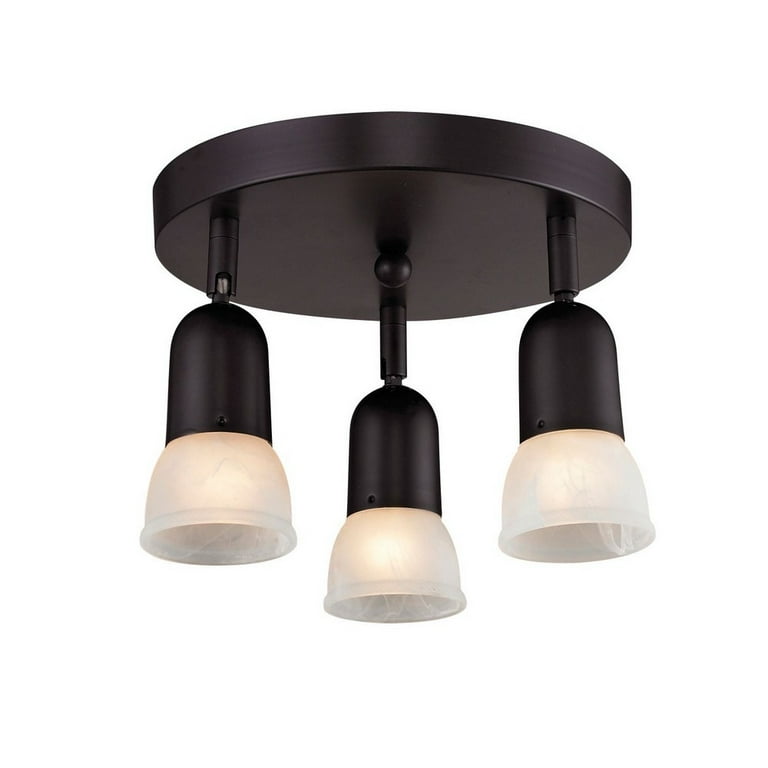 L eio3＋ Altelix 24x24x12 19