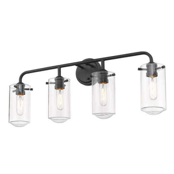 Z-Lite Delaney 4 Light Clear Glass Steel Vanity Light in Matte Black