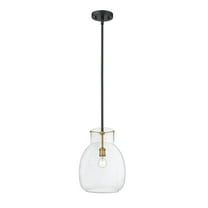 Z-Lite Bella 12" Round Clear Glass Steel Rod Pendant in Black and Olde Brass