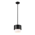 thumbnail image 1 of Z-Lite 1 Light Pendant, 1 of 8