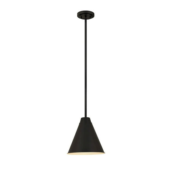 Z-Lite 1 Light Pendant