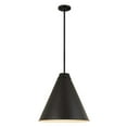 thumbnail image 1 of Z-Lite 1 Light Pendant, 1 of 9