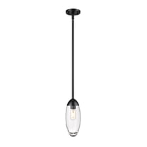 Z-Lite 1 Light Pendant