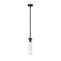 Z-Lite 1 Light Pendant