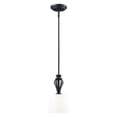 thumbnail image 1 of Z-Lite Charleston 1 Light Mini Pendant in Matte Black, 1 of 4