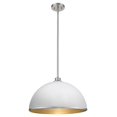 thumbnail image 1 of Z-Lite 1930P20-HWH-BN 10 x 20 in. Citadel Pendant, Hammered White & Brushed Nickel, 1 of 5