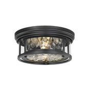 https://i5.walmartimages.com/seo/Z-Lite-Clarion-2-Light-Flush-Mount-In-Transitional-Style-5-Inches-Tall-and_f93562cb-f392-43d3-8f55-0c3a5ebb9925.3b2b0a482d5e376acb3a29d71e9a434e.jpeg?odnWidth=180&odnHeight=180&odnBg=ffffff