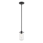 Z-Lite Delaney Clear Glass Steel Mini Pendant in Matte Black