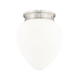 thumbnail image 1 of Z-Lite 1 Light Flush Mount, 1 of 8