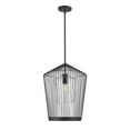 thumbnail image 1 of Z-Lite 1 Light Pendant, 1 of 8