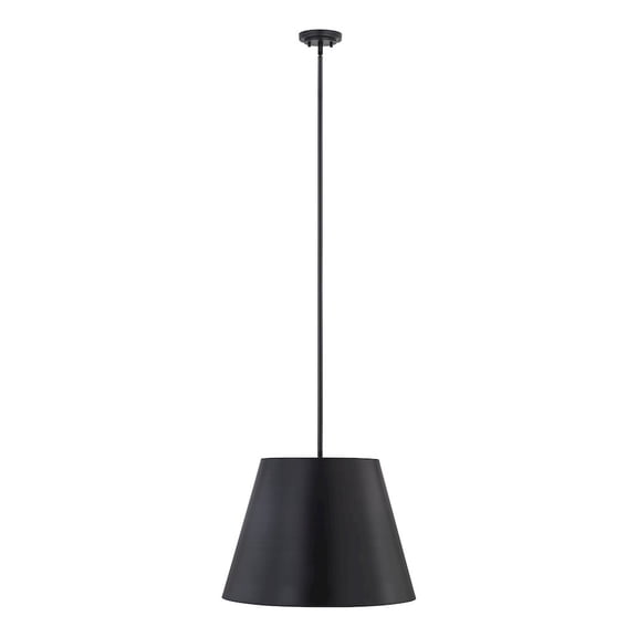 Z-Lite 1 Light Pendant