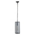 thumbnail image 1 of Craftmade Lighting - Deka - 1 Light Large Outdoor Pendant In Transitional/Modern, 1 of 9