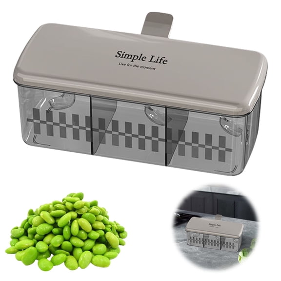 Z52LingLing Decoration 1-Piece Multi-Grid Spice Seasoning Box, Clear Divided Condiment Dispenser with Protective Cover