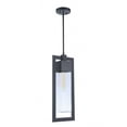 thumbnail image 1 of Craftmade Lighting - Perimeter - 1 Light Large Outdoor Pendant-21.75 Inches Tall, 1 of 9