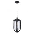 thumbnail image 1 of Craftmade Lighting - Voyage - 1 Light Outdoor Pendant In Transitional Style-19, 1 of 7
