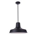 thumbnail image 1 of Craftmade Lighting - Briscoe - 1 Light Outdoor Pendant-10.24 Inches Tall and, 1 of 9