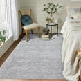thumbnail image 1 of ZACOO 4 x 6 feet Shag Area Rug Luxury Plush Rug Carpet for Bedroom Living Room High Pile Non-Shedding Area Rug Fluffy Rug Carpet, Silver Gray, 1 of 6