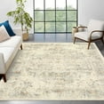 thumbnail image 1 of ZACOO 9'x12' Vintage Oriental Distressed Farmhouse Large Rug Thin Indoor Carpet Distressed Floral Print Indoor Mat for Living Room Office, Hazel, 1 of 8