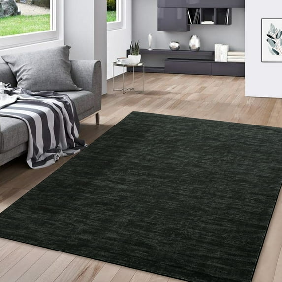 ZACOO Area Rug 4' x 6'Indoor Floor Soft Rug Mat Foldable Accent Rug for Living Room Bedroom Dining Room Machine Washable Rug, Black