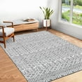 thumbnail image 1 of ZACOO Area Rug 5x8 Vintage Low Pile Non-Slip Rug Machine Washable Area Rug Indoor Foldable Accent Rug, Grey, 1 of 9
