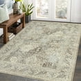 thumbnail image 1 of ZACOO Area Rug 6x9 Machine Washable Area Rug Distressed Oriental Floor Carpet for Dining Room, Taupe Multi, 1 of 6