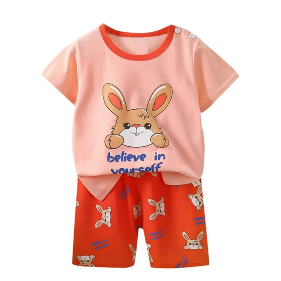 ZACPNCV Baby Girls Summer Outfits Set Kids Short Sleeve Top T-Shirt and Shorts Clothing Sets Pink 6-12 Months