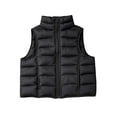 thumbnail image 1 of ZACPNCV Boys Girls Quilted Puffer Vest Winter Lightweight Sleeveless Puffy Jacket Solid Color Zip-Up Padded Gilet Outerwear with Inner Pockets,D-Black, 1 of 5
