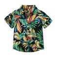 thumbnail image 1 of ZACPNCV Boys Hawaiian Shirt Kids Short Sleeve Button Down T Shirts Little Boy Beach Clothes Print Tops Multicolor 8-9 Years, 1 of 1