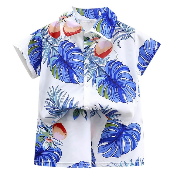 ZACPNCV Boys Summer Short Hawaiian Outfit Short Sleeve Button Down Shirt and Shorts Blue 5-6 Years