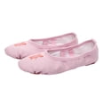thumbnail image 1 of ZACPNCV Girls Ballet Shoes Toddler Highly Elastic Canvas Ballet Slippers Kids Ballerina Dance Shoes Pink, 1 of 8