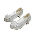thumbnail image 1 of ZACPNCV Girls Dress Shoes Mary Jane Low Heel Party Flower Wedding Princess Pumps for Little Girls Silver 9-10 Years, 1 of 7