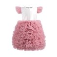 thumbnail image 1 of ZACPNCV Girls Tutu Dress Irregular Tulle Flutter Sleeve A-Line Princess Gown Flower Girl Birthday Party Ball Gown Red 1-2 Years, 1 of 5