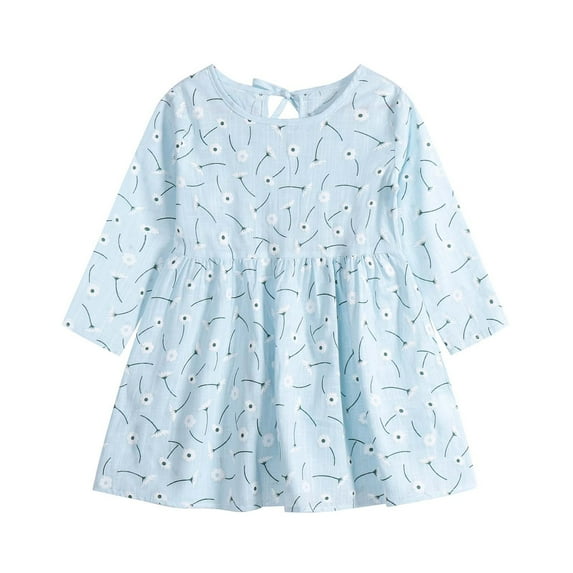 ZACPNCV Infant Baby Girls Long Sleeve Dress Toddler Princess Fall Spring Casual Floral Print Basic Playwear Dresses Outfit Blue 18-24 Months