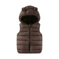 thumbnail image 1 of ZACPNCV Little Girls Boys Winter Warm quilted Sleeveless Hooded Puffer Jacket Pocket Down Vest Full Zip Waistcoat Gilet Coffee 2-3 Years, 1 of 9