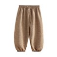 thumbnail image 1 of ZACPNCV Toddler Girls Boys Solid Cotton Harem Pants Summer Baby Basic Loose Long Bloomer Trouser Elastic Pants Coffee 2-3 Years, 1 of 4